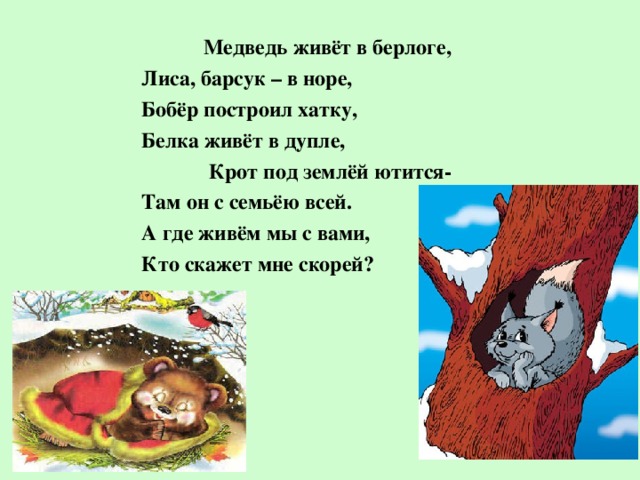 Где живут медведи лисы. Лиса где живут Берлога. Медведь живет в берлоге белка живет. Берлога -медведь. Лиса-Нора. Медведь живет в берлоге.