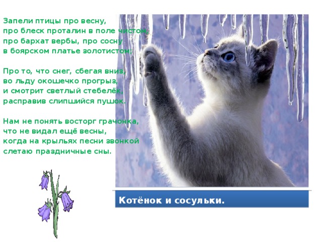 Запели птицы про весну, про блеск проталин в поле чистом, про бархат вербы, про сосну в боярском платье золотистом;  Про то, что снег, сбегая вниз, во льду окошечко прогрыз, и смотрит светлый стебелёк, расправив слипшийся пушок.  Нам не понять восторг грачонка, что не видал ещё весны, когда на крыльях песни звонкой слетаю праздничные сны. Котёнок и сосульки.