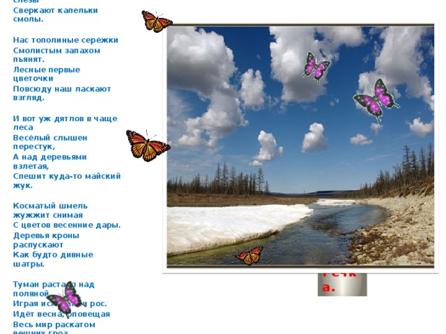Ах, как прекрасен лес весенний И свежий аромат листвы, А на стволе сосны как слёзы Сверкают капельки смолы.  Нас тополиные серёжки Смолистым запахом пьянят. Лесные первые цветочки Повсюду наш ласкают взгляд.  И вот уж дятлов в чаще леса Весёлый слышен перестук, А над деревьями взлетая, Спешит куда-то майский жук.  Косматый шмель жужжит снимая С цветов весенние дары. Деревья кроны распускают Как будто дивные шатры.  Туман растаял над поляной, Играя искорками рос. Идёт весна, оповещая Весь мир раскатом вешних гроз. Речка.