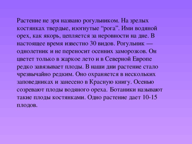 Растение не зря названо рогульником. На зрелых костянках твердые, изогнутые “рога”. Ими водяной орех, как якорь, цепляется за неровности на дне. В настоящее время известно 30 видов. Рогульник — однолетник и не переносит осенних заморозков. Он цветет только в жаркое лето и в Северной Европе редко завязывает плоды. В наши дни растение стало чрезвычайно редким. Оно охраняется в нескольких заповедниках и занесено в Красную книгу. Осенью созревают плоды водяного ореха.  Ботаники называют такие плоды костянками. Одно растение дает 10-15 плодов.   