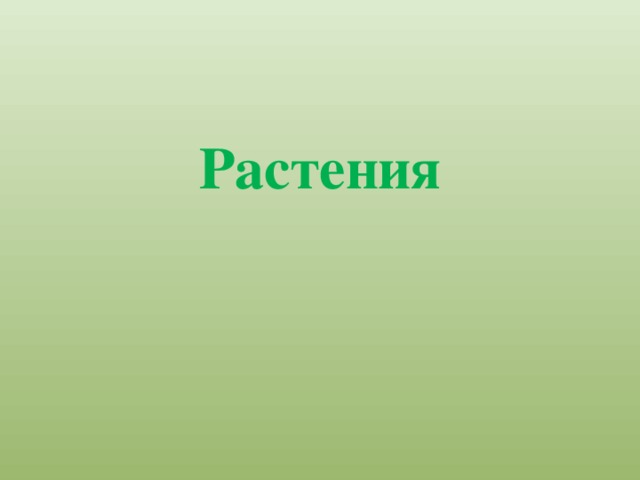 Растения