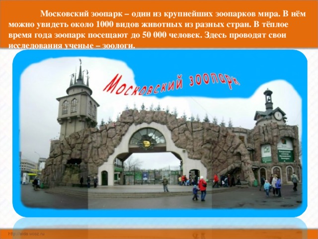 Московский зоопарк – один из крупнейших зоопарков мира. В нём можно увидеть около 1000 видов животных из разных стран. В тёплое время года зоопарк посещают до 50 000 человек. Здесь проводят свои исследования ученые – зоологи.
