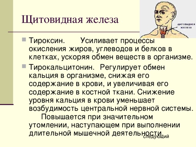 Щитовидная железа Тироксин.  Усиливает процессы окисления жиров, углеводов и белков в клетках, ускоряя обмен веществ в организме. Тирокальцитонин.  Регулирует обмен кальция в организме, снижая его содержание в крови, и увеличивая его содержание в костной ткани. Снижение уровня кальция в крови уменьшает возбудимость центральной нервной системы.  Повышается при значительном утомлении, наступающем при выполнении длительной мышечной деятельности. следующий