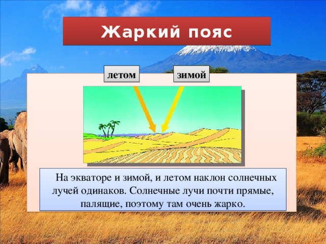 Жаркий пояс летом зимой На экваторе и зимой, и летом наклон солнечных лучей одинаков. Солнечные лучи почти прямые, палящие, поэтому там очень жарко.