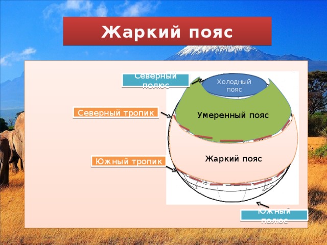 Жаркий пояс Холодный пояс Северный полюс Умеренный пояс Северный тропик Жаркий пояс Южный тропик Южный полюс