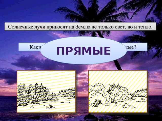 Солнечные лучи приносят на Землю не только свет, но и тепло. Прямые Какие лучи греют сильнее: прямые или косые?