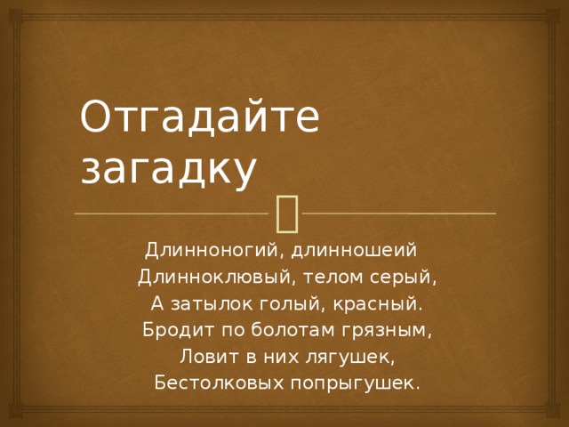 Отгадайте загадку Длинноногий, длинношеий  Длинноклювый, телом серый,  А затылок голый, красный.  Бродит по болотам грязным,  Ловит в них лягушек,  Бестолковых попрыгушек.