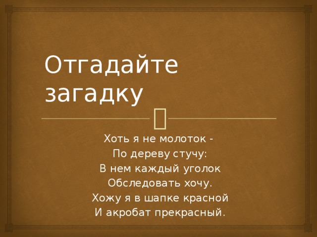 Отгадайте загадку Хоть я не молоток -  По дереву стучу:  В нем каждый уголок  Обследовать хочу.  Хожу я в шапке красной  И акробат прекрасный.