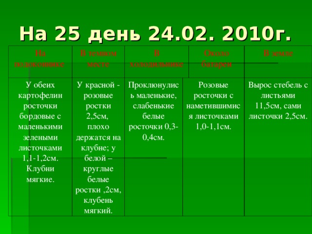 На 25 день 24.02. 2010г. На подоконнике В темном месте У обеих картофелин росточки бордовые с маленькими зелеными листочками 1,1-1,2см. Клубни мягкие. В холодильнике У красной - розовые ростки 2,5см, плохо держатся на клубне; у белой – круглые белые ростки ,2см, клубень мягкий. Проклюнулись маленькие, слабенькие белые росточки 0,3-0,4см. Около батареи Розовые росточки с наметившимися листочками 1,0-1,1см. В земле Вырос стебель с листьями 11,5см, сами листочки 2,5см.