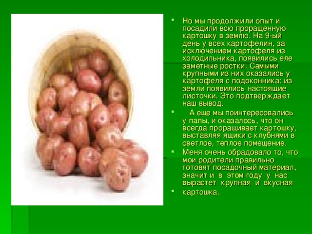 Но мы продолжили опыт и посадили всю проращенную картошку в землю. На 9-ый день у всех картофелин, за исключением картофеля из холодильника, появились еле заметные ростки. Самыми крупными из них оказались у картофеля с подоконника: из земли появились настоящие листочки. Это подтверждает наш вывод.  А еще мы поинтересовались у папы, и оказалось, что он всегда проращивает картошку, выставляя ящики с клубнями в светлое, теплое помещение. Меня очень обрадовало то, что мои родители правильно готовят посадочный материал, значит и в этом году у нас вырастет крупная и вкусная картошка.