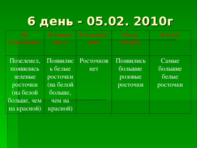 6 день - 05.02. 2010г На подоконнике В темном месте Позеленел, появились зеленые росточки (на белой больше, чем на красной) В холодиль - нике Появились белые росточки (на белой больше, чем на красной) Около батареи Росточков нет В земле Появились большие розовые росточки Самые большие белые росточки