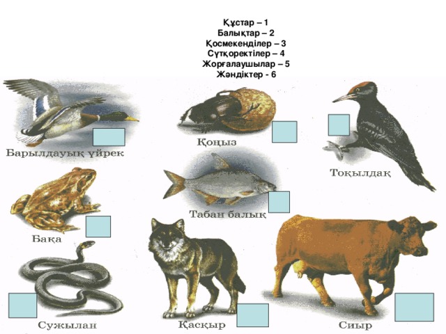 Құстар – 1  Балықтар – 2  Қосмекенділер – 3  Сүтқоректілер – 4  Жорғалаушылар – 5  Жәндіктер - 6