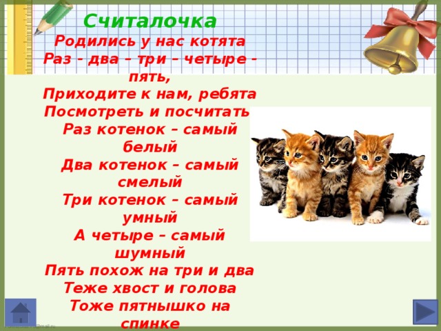 Стих пять котят. Родились у нас котята раз два три четыре пять. Пять котят стихотворение. Раз котенок самый белый два котенок самый смелый стих. Стих родились у нас котята раз два три четыре пять.