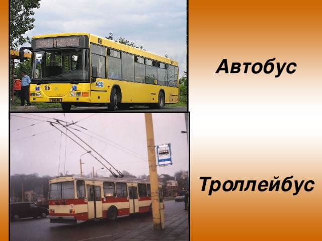 Автобус      Троллейбус