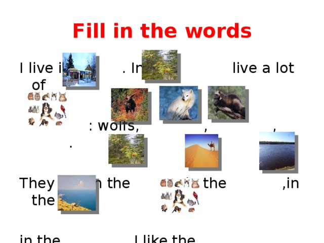 Fill in the words I live in . In our live a lot of  : wolfs, , , . They live in the ,in the ,in the in the , . I like the .
