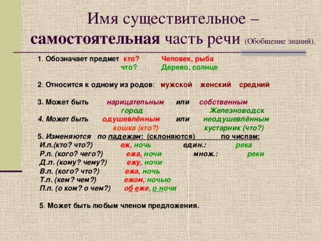 Имя существительное в русском языке вопросы