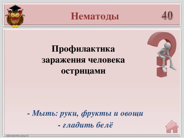 Нематоды Профилактика заражения человека острицами - Мыть: руки, фрукты и овощи - гладить белё