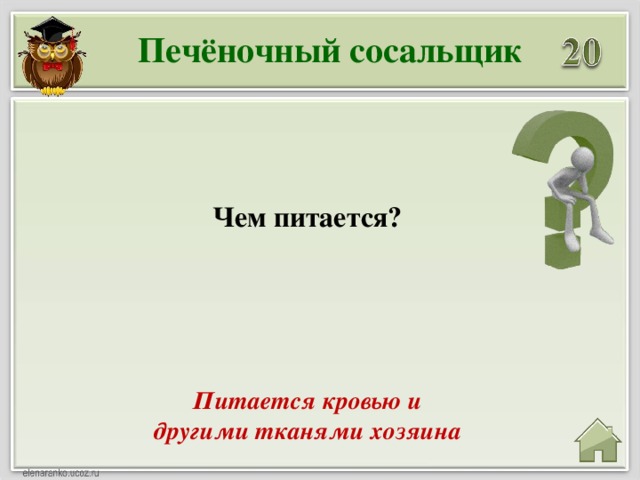 Печёночный сосальщик Чем питается? Питается кровью и другими тканями хозяина