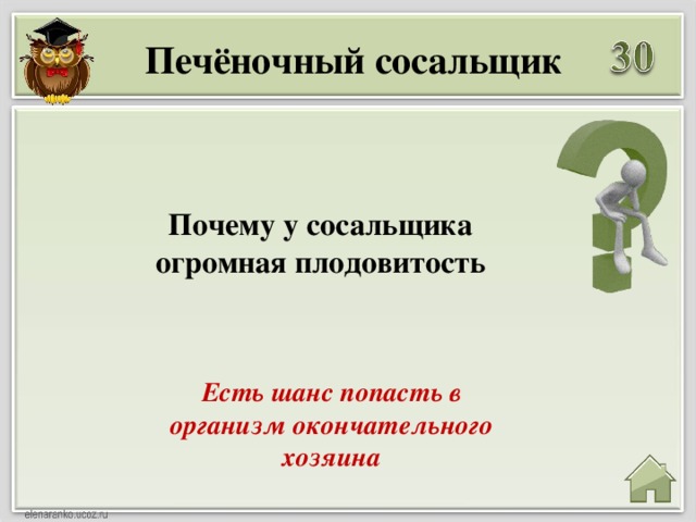 Печёночный сосальщик Почему у сосальщика огромная плодовитость Есть шанс попасть в организм окончательного хозяина