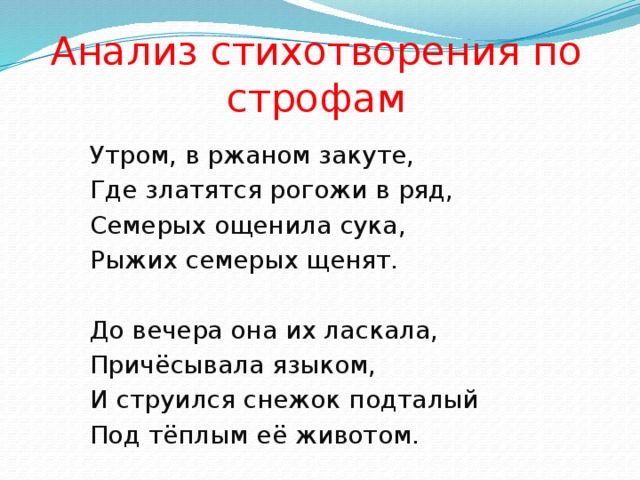 Анализ стихотворения по строфам   Утром, в ржаном закуте,   Где златятся рогожи в ряд,   Семерых ощенила сука,   Рыжих семерых щенят.   До вечера она их ласкала,   Причёсывала языком,   И струился снежок подталый   Под тёплым её животом.