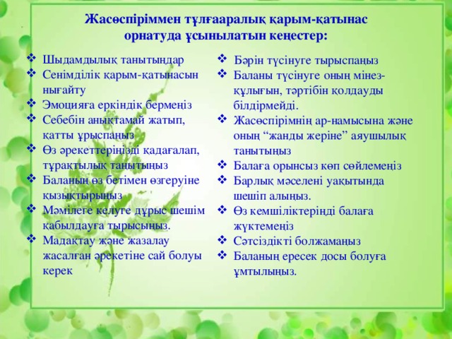 Жасөспіріммен тұлғааралық қарым-қатынас орнатуда ұсынылатын кеңестер: