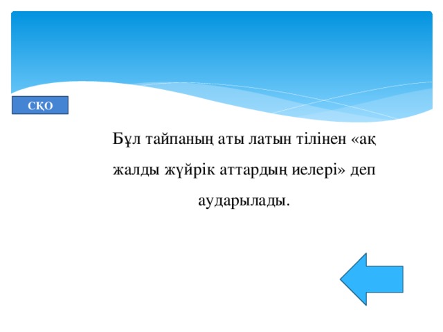 СҚО Бұл тайпаның аты латын тілінен «ақ жалды жүйрік аттардың иелері» деп аударылады.