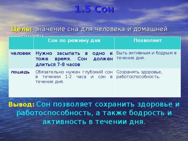 1.5 Сон   Цель: значение сна для человека и домашней лошади Сон по режиму дня человек Позволяет Нужно засыпать в одно и тоже время. Сон должен длиться 7-8 часов лошадь Обязательно нужен глубокий сон в течении 1-2 часа и сон в течение дня. Быть активным и бодрым в течение дня. Сохранять здоровье, работоспособность.  Вывод:  Сон позволяет сохранить здоровье и работоспособность, а также бодрость и активность в течении дня.