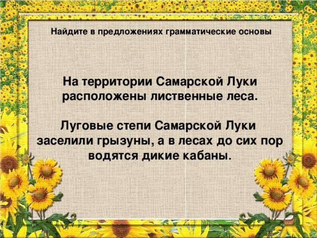 Найдите в предложениях грамматические основы На территории Самарской Луки расположены лиственные леса.  Луговые степи Самарской Луки заселили грызуны, а в лесах до сих пор водятся дикие кабаны .