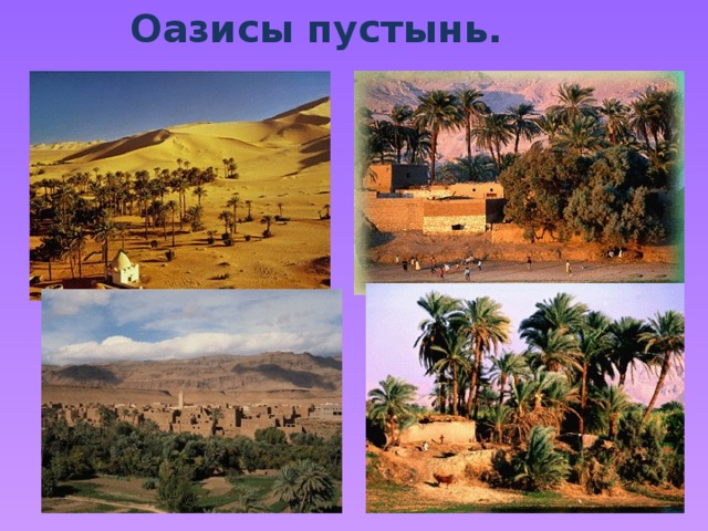 Оазисы пустынь.