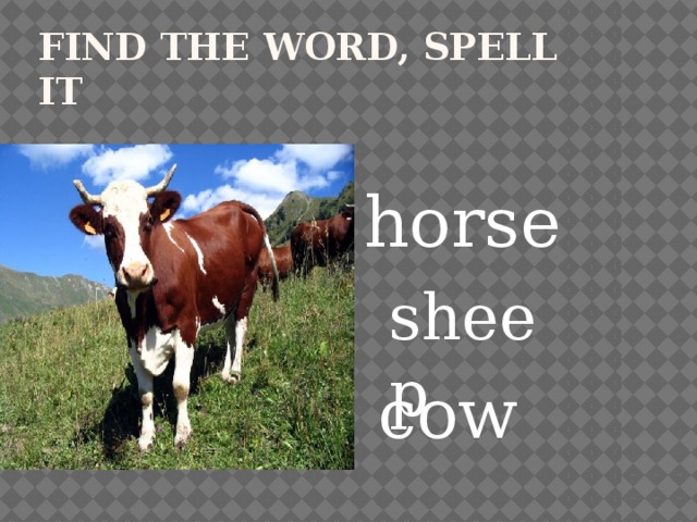 Find the word, spell it horse sheep cow