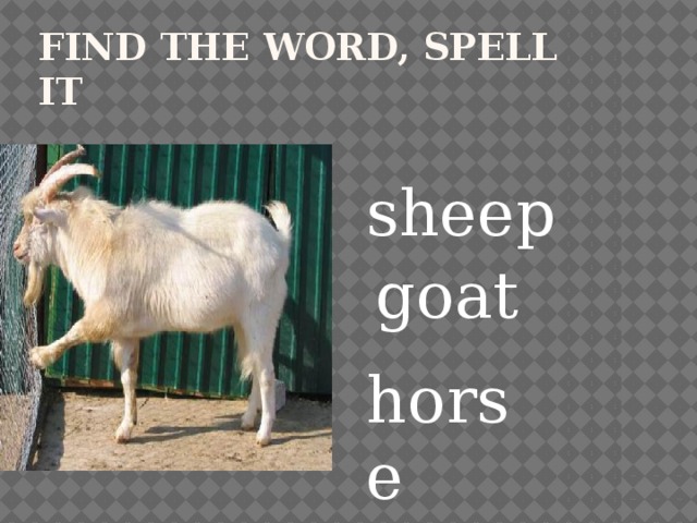 Find the word, spell it sheep goat horse