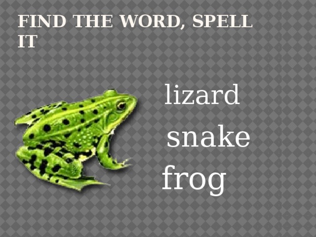 Find the word, spell it lizard snake frog