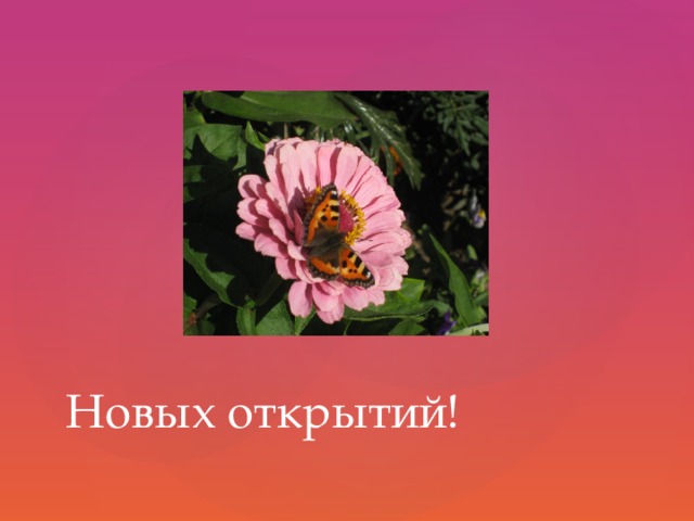 Новых открытий!