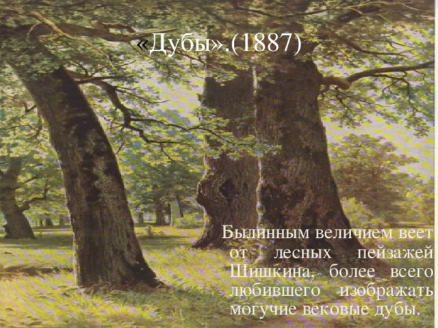 « Дубы».(1887)  Былинным величием веет от лесных пейзажей Шишкина, более всего любившего изображать могучие вековые дубы.