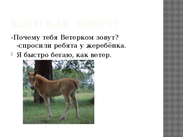 Кого как зовут? -Почему тебя Ветерком зовут? -спросили ребята у жеребёнка.