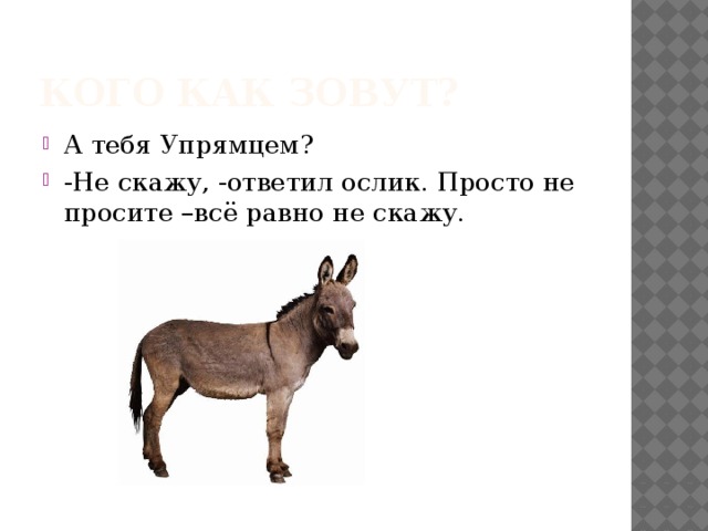 Кого как зовут?