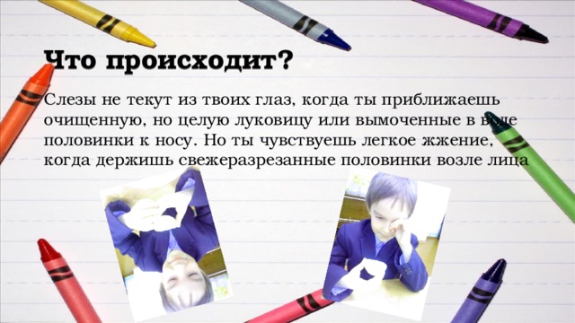 Что происходит? Слезы не текут из твоих глаз, когда ты приближаешь очищенную, но целую луковицу или вымоченные в воде половинки к носу. Но ты чувствуешь легкое жжение, когда держишь свежеразрезанные половинки возле лица