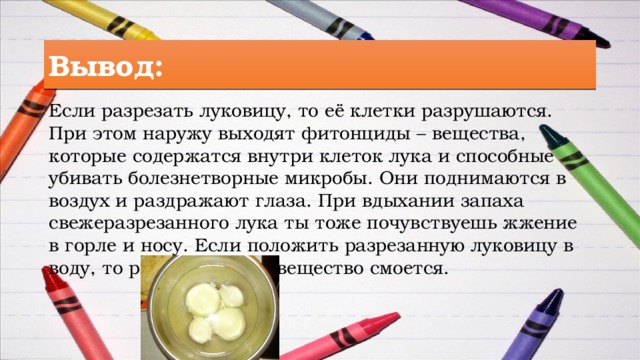 Вывод: Вывод: Если разрезать луковицу, то её клетки разрушаются. При этом наружу выходят фитонциды – вещества, которые содержатся внутри клеток лука и способные убивать болезнетворные микробы. Они поднимаются в воздух и раздражают глаза. При вдыхании запаха свежеразрезанного лука ты тоже почувствуешь жжение в горле и носу. Если положить разрезанную луковицу в воду, то раздражающее вещество смоется.