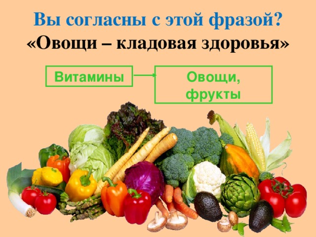 Вы согласны с этой фразой?  «Овощи – кладовая здоровья» Витамины Овощи, фрукты