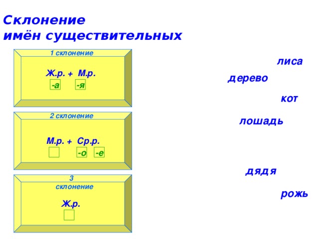 Склонение  имён существительных 1 склонение 1 склонение лиса Ж.р. + М.р.  дерево -а -я кот 2 склонение лошадь 2 склонение М.р. + Ср.р.  -о -е   дядя  3 склонение 3 склонение рожь Ж.р.