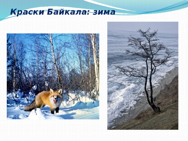 Краски Байкала: зима