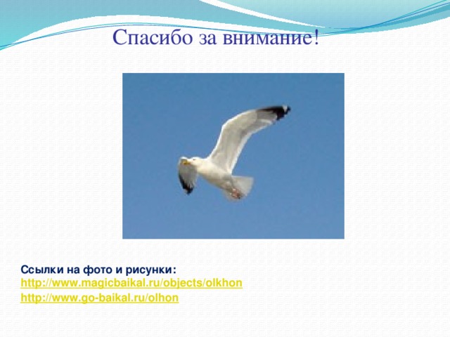 Спасибо за внимание! Ссылки на фото и рисунки: http :// www.magicbaikal.ru/objects/olkhon http://www.go-baikal.ru/olhon
