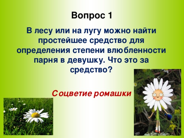 Вопрос 1 В лесу или на лугу можно найти простейшее средство для определения степени влюбленности парня в девушку. Что это за средство?  Соцветие ромашки