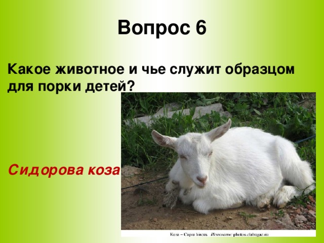 Вопрос 6 Какое животное и чье служит образцом для порки детей?    Сидорова коза
