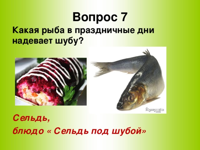 Вопрос 7 Какая рыба в праздничные дни надевает шубу?      Сельдь, блюдо « Сельдь под шубой»