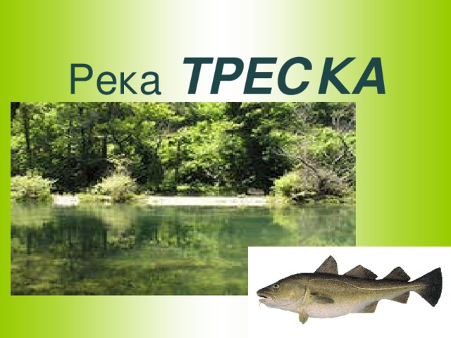 Река  ТРЕСКА