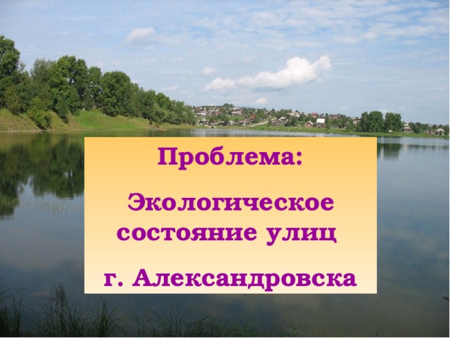 Проблема: Экологическое состояние улиц г. Александровска