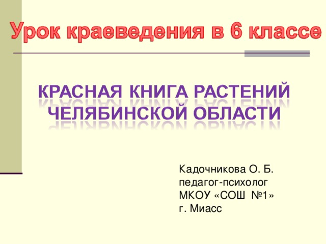 Кадочникова О. Б. педагог-психолог МКОУ «СОШ №1» г. Миасс