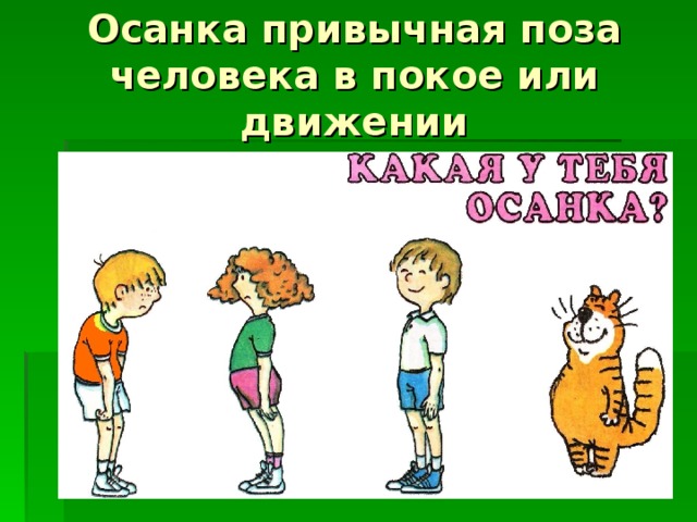 Осанка привычная поза человека в покое или движении