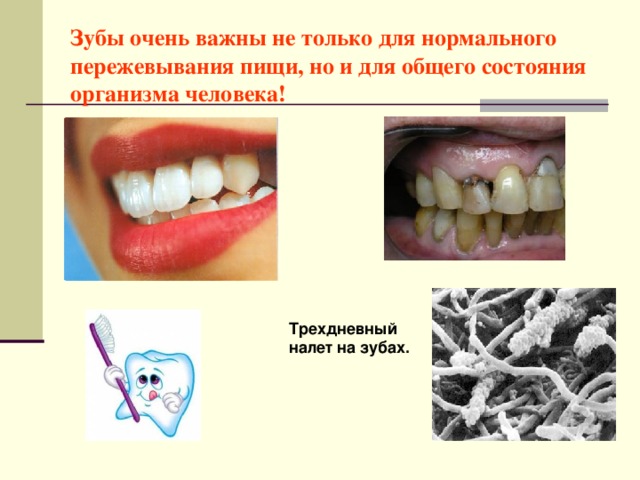 Зубы очень важны не только для нормального пережевывания пищи, но и для общего состояния организма человека! Трехдневный налет на зубах.